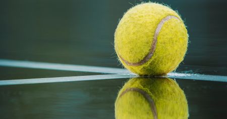 Literature and sport go together — very occasionally