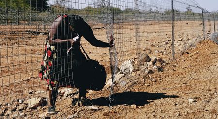 ISS Today: The ‘illegal migrant’ red herring