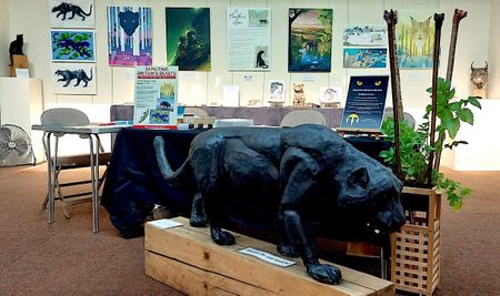 ‘They’ve found sheep up in trees’ — inside Britain’s ‘black leopard’ mystery
