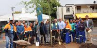 A team of City of Cape Town workers, officials, community partners and NGOs assisted in replanting Water Oaks (Quercus nigra) in Newlands, using both manual effort and machinery to ensure the trees were safely offloaded from the truck and secured. This replanting marks a significant step in restoring the urban canopy after the devastating loss of mature Boxelders to the Polyphagous Shot Hole Borer (PSHB) beetle in 2024. (Photo: Kristin Engel)