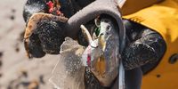 Gunnar-Kalk Bay Cleanup