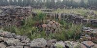 The Blaauwboschkraal ruins. (Photo: Supplied)