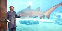 Ethekwini mayor Mxolisi Kaunda shows off the shark tank at uShaka Marine World during his Durban beachfront promenade tour this week. (Photo: Ethekwini Municipality)