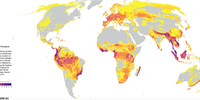 Global hotspots of risk. (Graphic: Supplied)