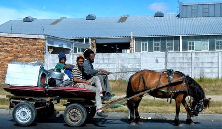 GroundUp: Putting the horse before the cart
