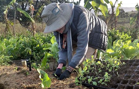 A working farm holiday in the time of agritourism