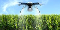 Precision farming techniques using drones or modifying the flow rate from spray nozzles can significantly reduce pesticide volumes compared to more conventional manual methods. <br>(Photo: iStock)