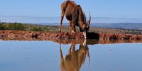 Early morning drink. Photographer: Graham Reynolds