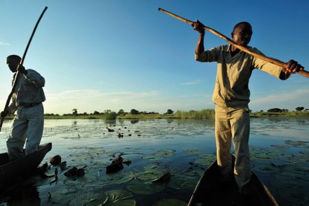 Bob Scholes’ last warning on the Kavango Basin: ‘The wildcatters are coming’