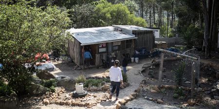 Western Cape illegal rehabs in the spotlight after Hout Bay residents speak out over Eleanore’s Recovery Centre