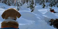 Taking a break on a sunny afternoon winter hike up Mount Seymour, North Vancouver British Columbia Canada, Feb 18, 2023. Photographer: Melanie Arabsky Ledger