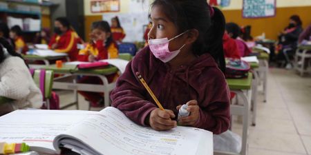 Pirls disgrace — Cadre deployment and Sadtu’s control over education must end