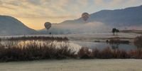 [Balloons coming in at dawn]. Photographer: [Vanetia Scott]. 