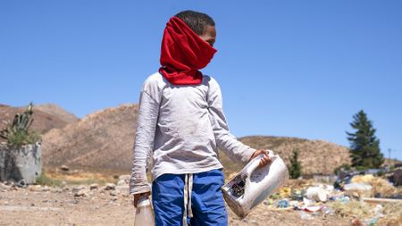 Food crisis: 2.5 million South Africans experience hunger ‘every day’