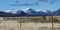 Cold Exposed. Photographer: Brenda Murray </p>
<p>P4U_readersubmission_20250614