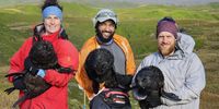 Tammy Eggeling, Zafar Monier and Dylan Seaton holding Antarctic fur seal pups at Marion Island. (Photo: Supplied)