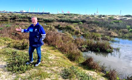 Sewage spill in Gqeberha forces beach closure ahead of Boks-Italy clash