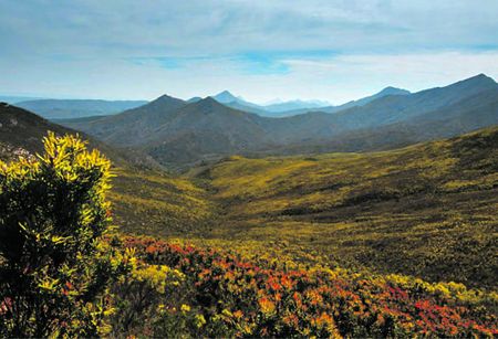 Scenic Plett gives up its secrets along winding walking paths