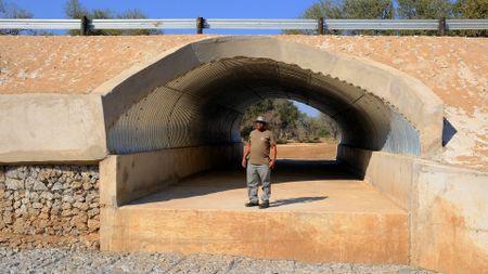 Brainstormed: How Kruger Park is rethinking the humble culvert