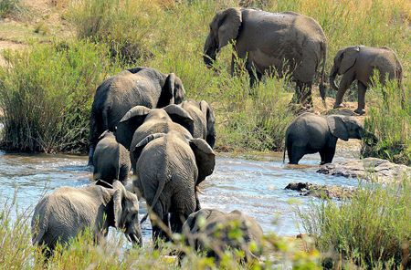 Conservation needs less doom and more doing, says world-leading ecologist