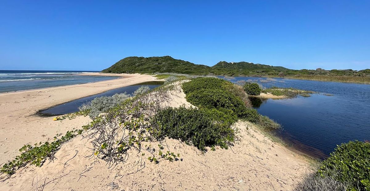 Maputo National Park declared a Unesco World Heritage Site