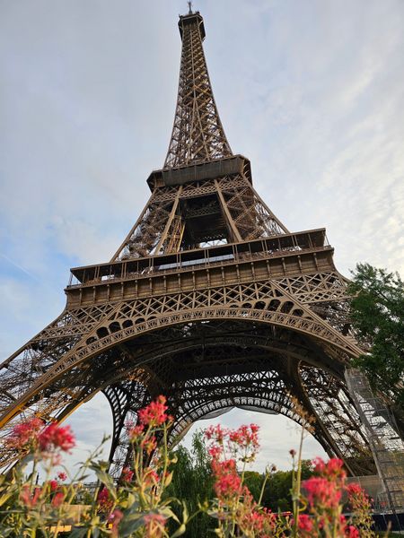 I have a picture for you! 08 March-14 March 2025