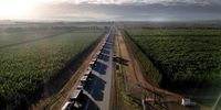 Trucks wait to cross South Africas border into Mozambique at Lebombo Border control in Komatipoort, on July 14.