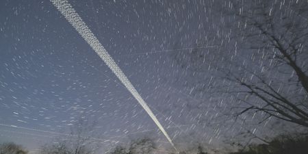 Snuffed out — Starlink’s South African customers out in the cold as Musk’s company terminates unapproved service