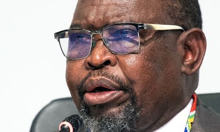 Godongwana’s premise that a VAT hike is needed to fund SRD grant is strongly opposed