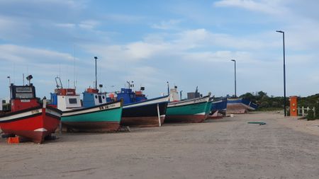 The sting in the yellowtail: Small-scale fishers’ lost seasons after markets dry up under Covid lockdowns