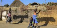 Women with children carry grass to be used for thatching in Stapleford, Zimbabwe on 2 August 2020. The grass will be sold  in the community so that they will be able to fend for their families. This is a daily activity in many farming communities as families struggle to make ends meet.  (Photo: EPA-EFE/AARON UFUMELI)