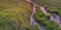 Sunset in the Winelands. Photographer: Alison Faure