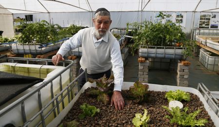 University of Johannesburg pioneering innovative use of aquaponics and sandponics to enable Food Justice for all