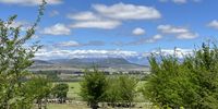 View from the shed! Photographer: Carol Daugherty