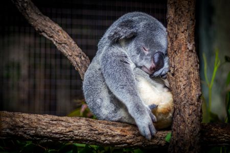 Sleep has a profound effect on mental and physical health