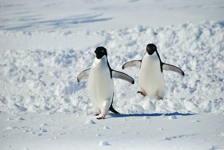 Exclusive: China proposes its own Antarctic marine protected area – in a Soviet-named sea