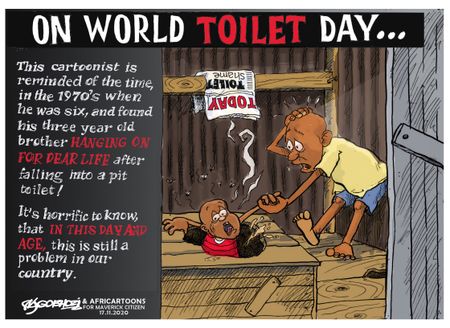 World Toilet Day