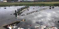 The City of Cape Town has moved to delay the implementation of several key river projects under its Liveable Urban Waterways Programme that aimed to rehabilitate waterways across Cape Town. (Photo: Supplied)