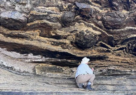 Dinosaur tracks, made 140 million years ago, have been found for the first time in South Africa’s Western Cape
