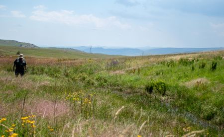 De Berg wetlands — a nature-based solution for water security and climate adaptation