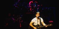 Heese-Graceland at 40