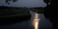 Moonlight night from Skukuza deck. Image: John