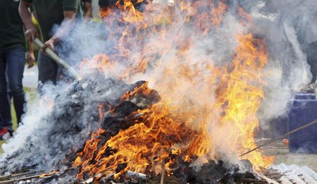 The Cannabis Chronicles: What the state really thinks