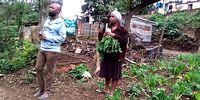 This picture shows Nokuthula Mabaso giving Ayanda Ngila some spinach from the communal garden at eKhenana for him to cook at the place of hiding after he and three others were released from prison where they had been held for six months before bogus murder charges brought against them were finally withdrawn. Ayanda was assassinated on 8 March 2022.<br>Nokuthula was assassinated on 5 May 2022. (Photo: Abahlali Facebook)