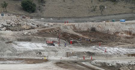 Loaded for Bear: The R400m Junior Mining Exploration Fund is pie in the sky