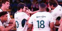 Rugby-Etzebeth ban