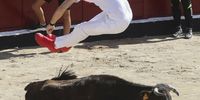 A 'mozo' dodges a young bull at the bullring in San Sebastian de los Reyes, Madrid, Spain, after the traditional bull run, 29 August 2023. Six people were injured during the one minute and 39 seconds-long bullrun. The fiestas at San Sebastian de los Reyes are known as 'Pamplona Chica' (little Pamplona) and are held every year in August.  EPA-EFE/David Fernandez