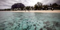 The Saya de Malha Bank off the coast of Mauritius and Seychelles has been earmarked among several future Marine Protected Areas on the Indian Ocean High Seas. The banks support the largest seagrass meadow in the world, along with a wide variety of reef fish such as parrotfish, surgeonfish and rabbitfish. (Photo: EPA-EFE / DAI KUROKAWA)