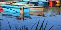 [Color Changes Everything]. Photographer: [Esme Buitenbag]. 