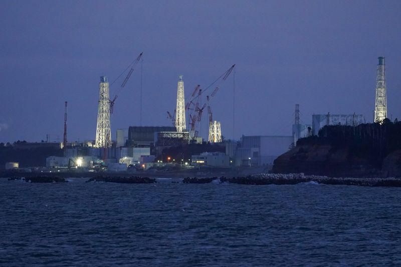 Atomic watchdog chief sees no fast track for Japan nuke restarts
